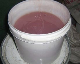 Jelkot