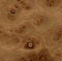 Makore agacinin dokusu h4s015