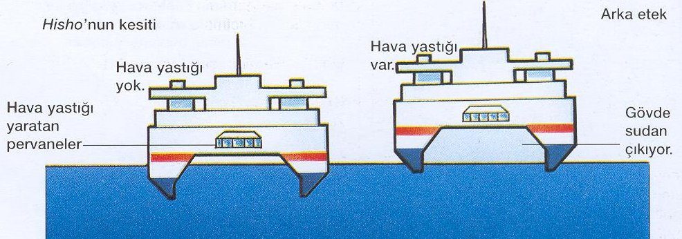 SES kesiti