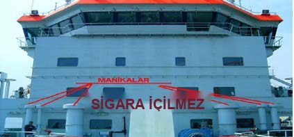 mantar bas